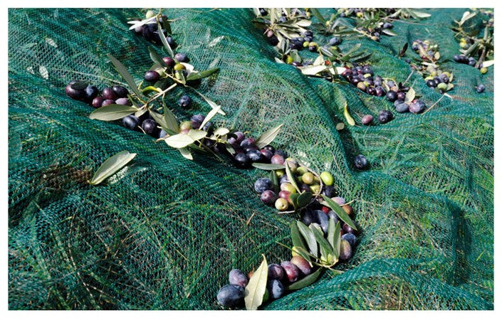 ΕΛΑΙΟΔΙΧΤΑΟ 5*10m Πυκνότητας 100gr/m²
